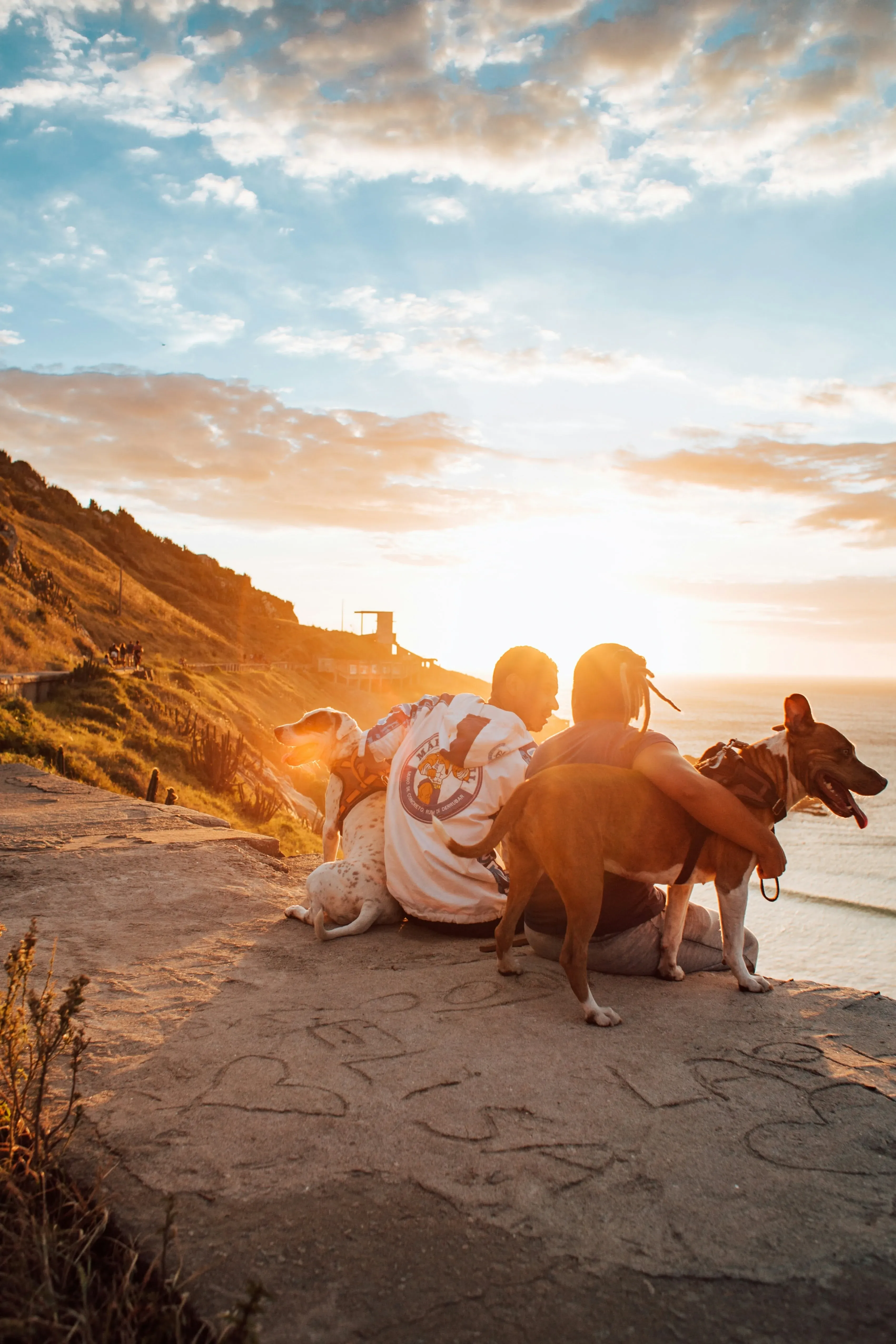 Two people sitting on a clifftop at sunset with their two dogs beside them
