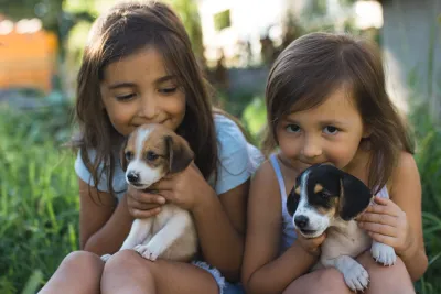 Two puppies sitting side by side representing matching dog name pairs