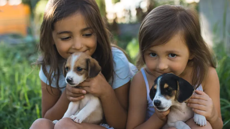Two puppies sitting side by side representing matching dog name pairs